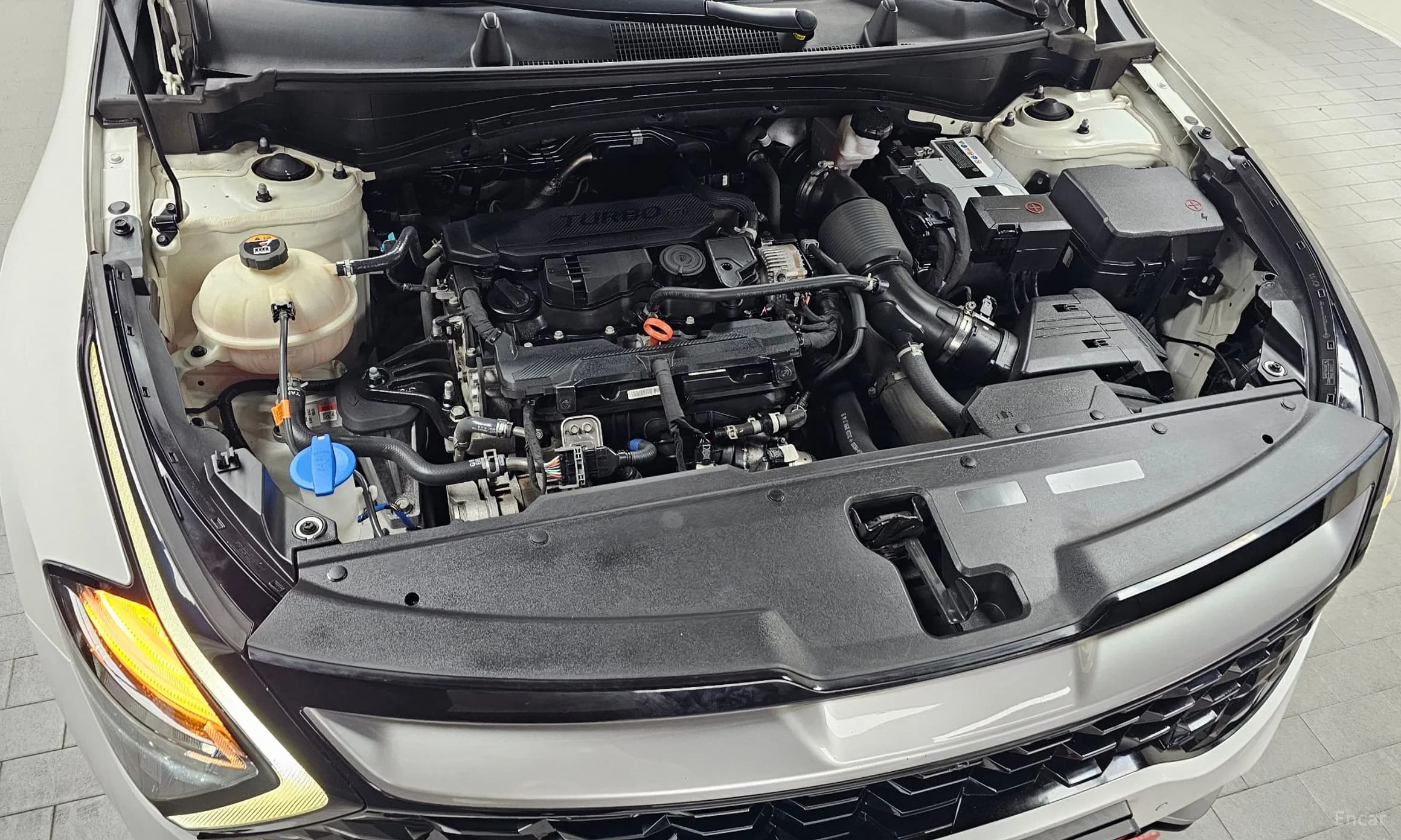 Sportage 5th Generation