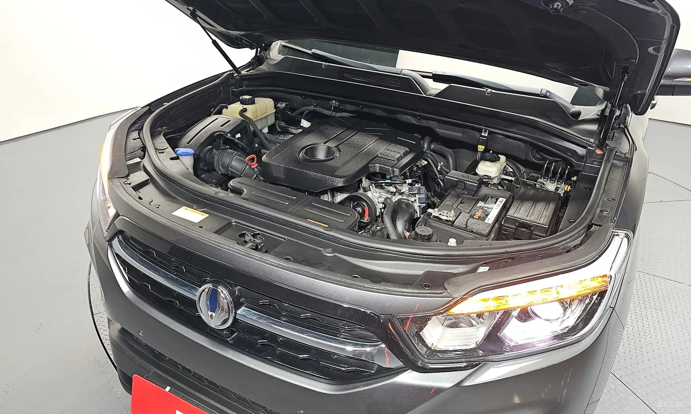 Rexton Sports