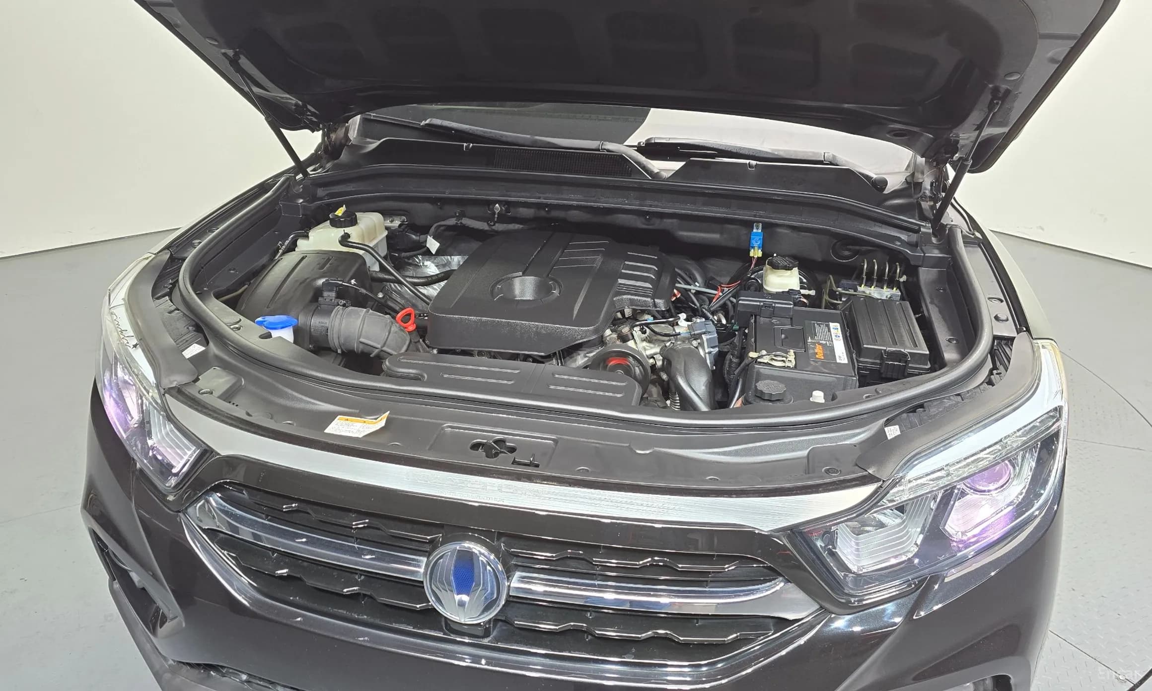 Rexton Sports