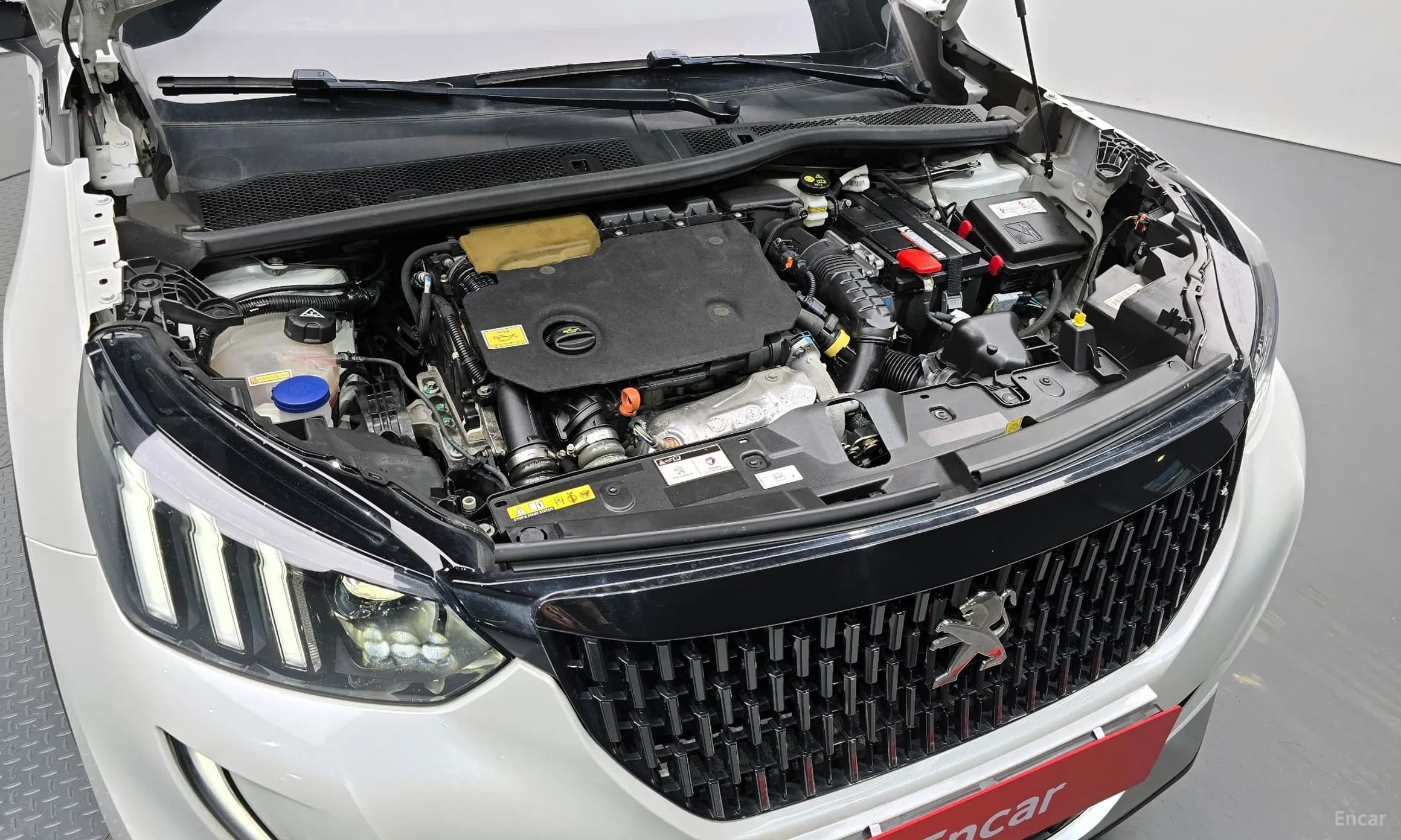 2008 Second Generation