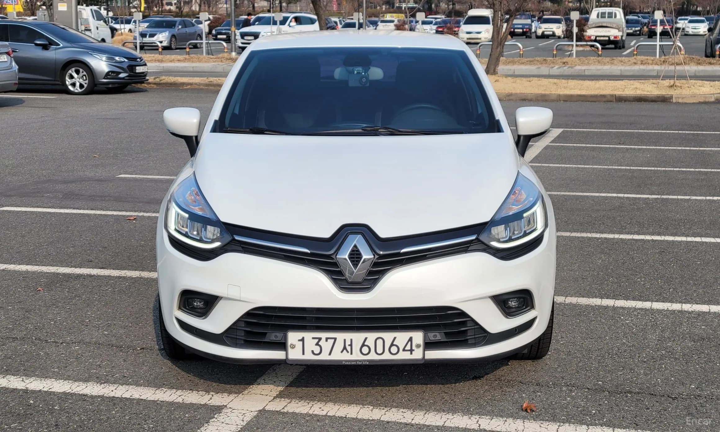 Clio