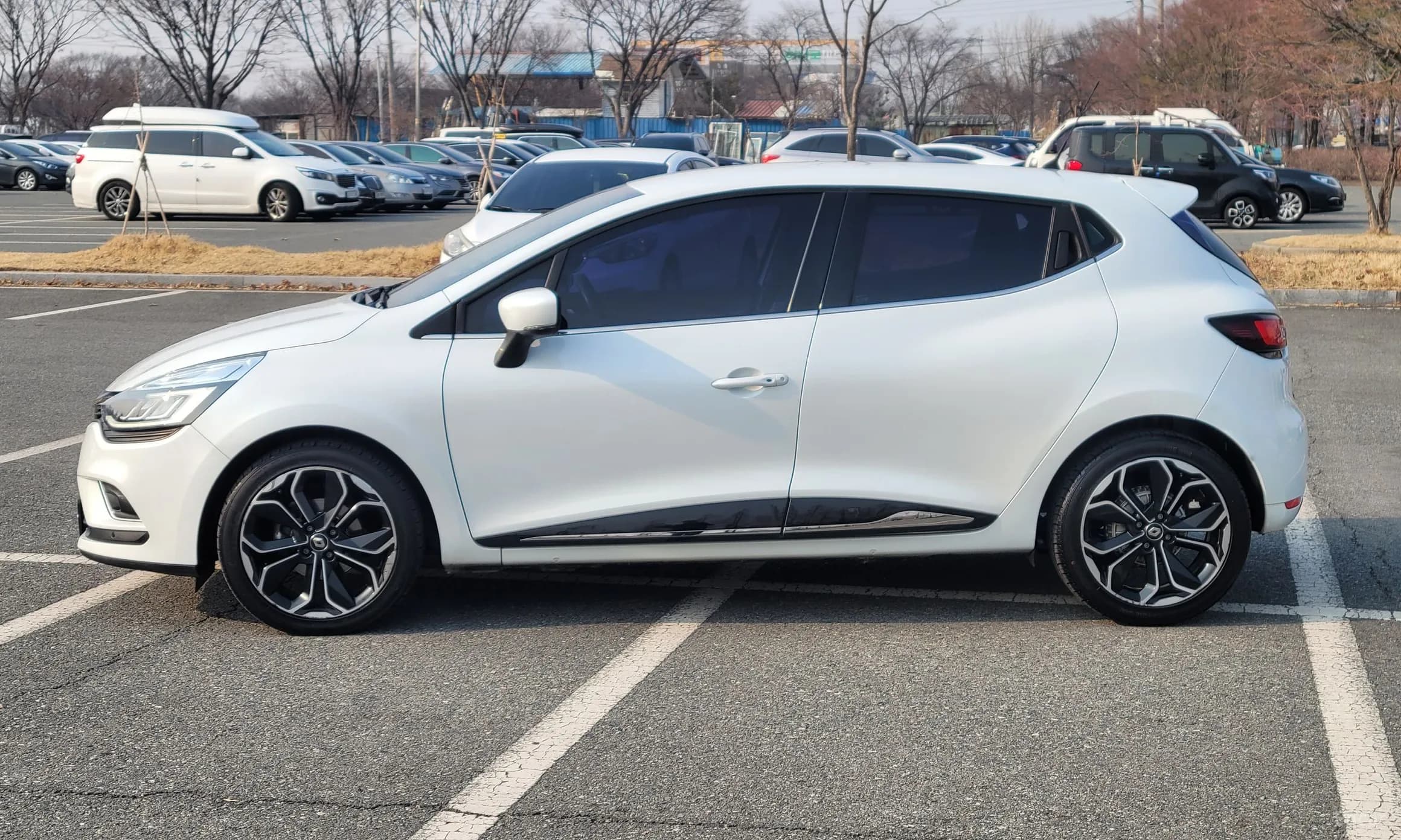 Clio
