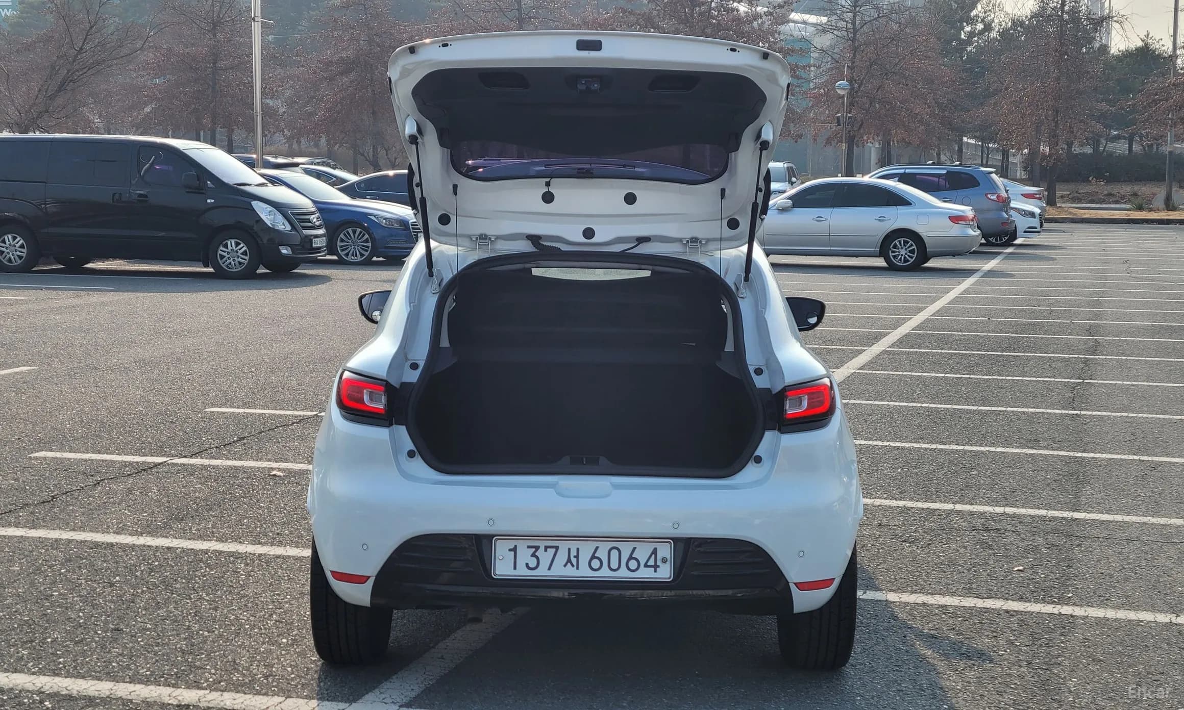 Clio