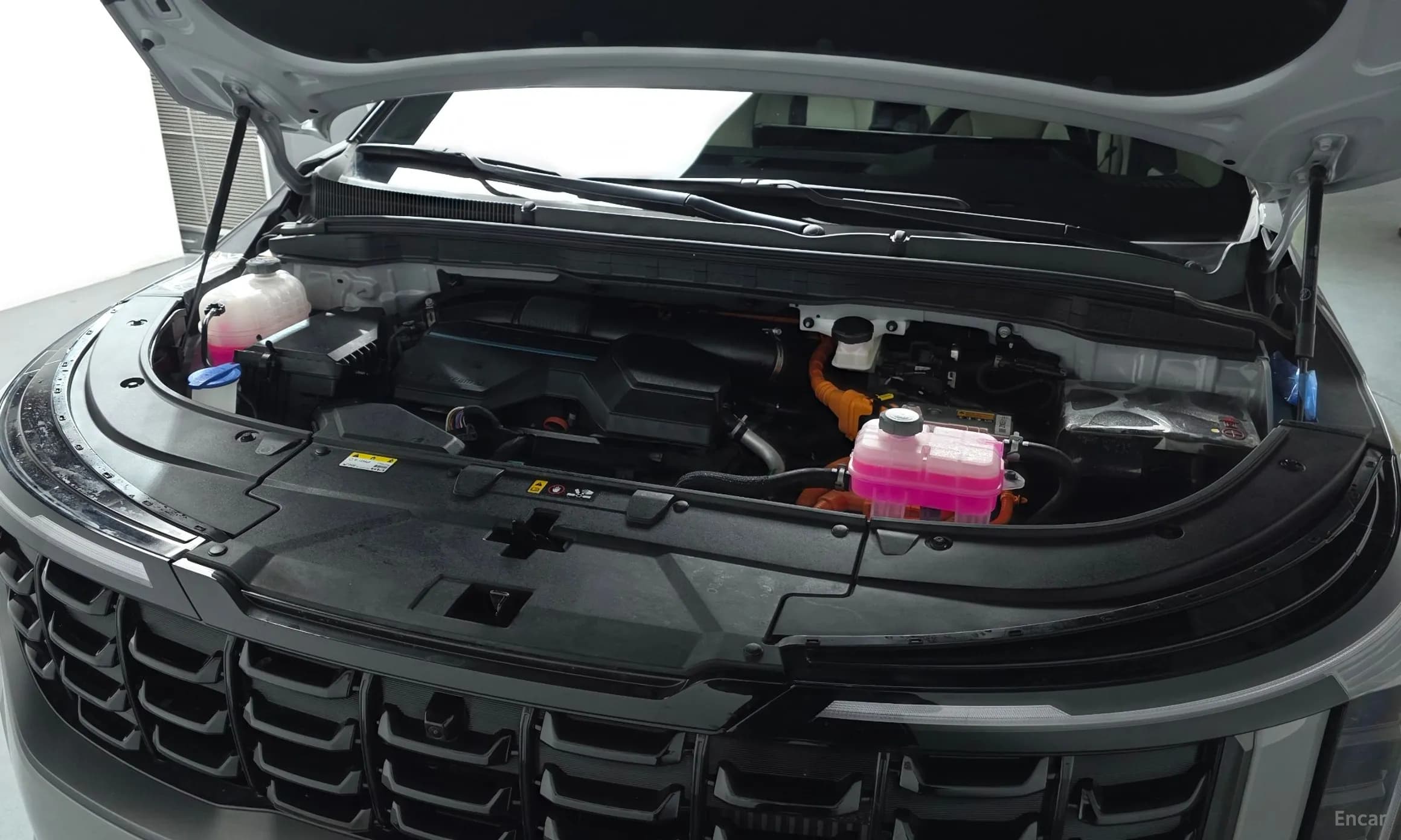 Carnival 4th Generation