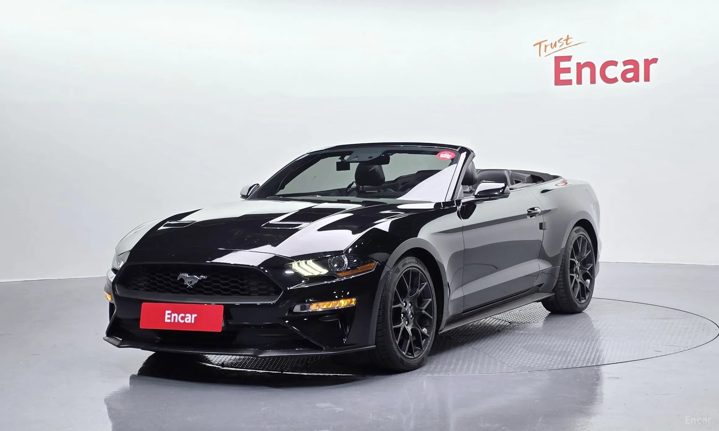 Mustang