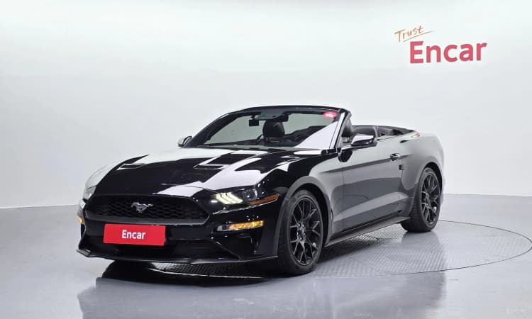 Mustang