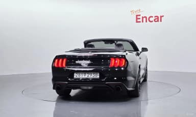 Mustang