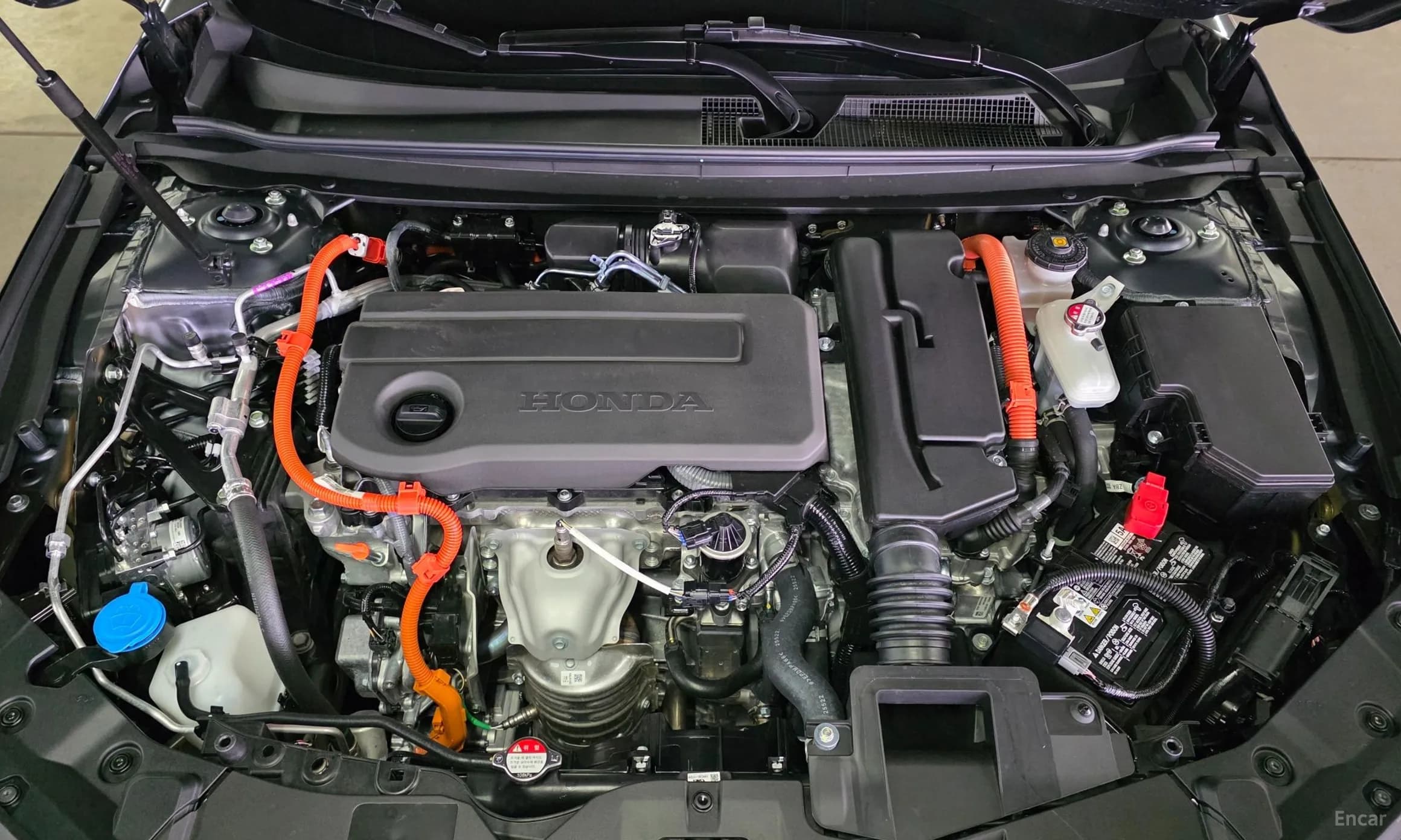 Accord 11th Generation