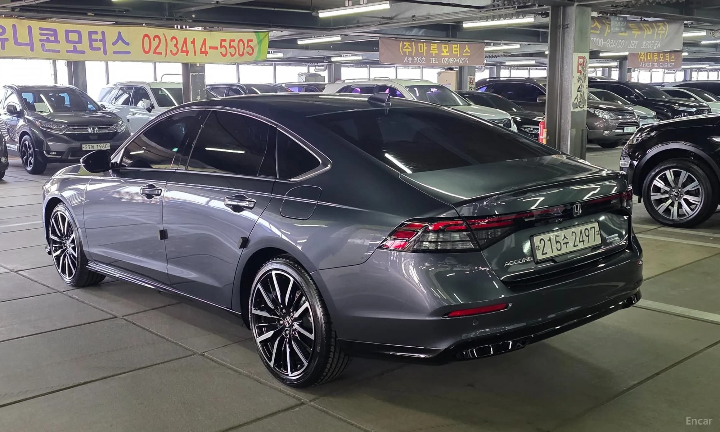 Accord 11th Generation