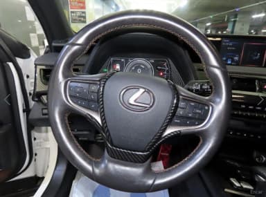 UX250h