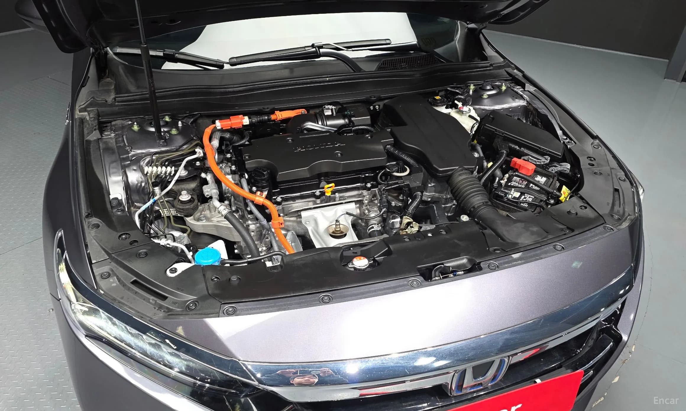 Accord 10th Generation