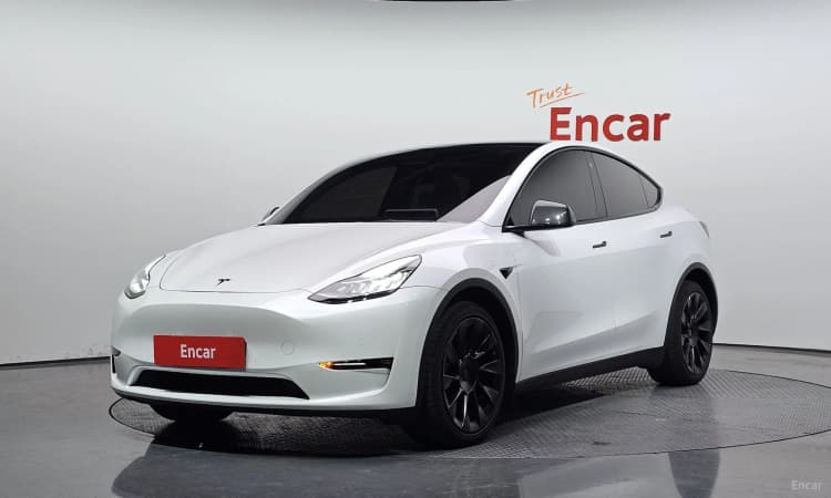 Model Y