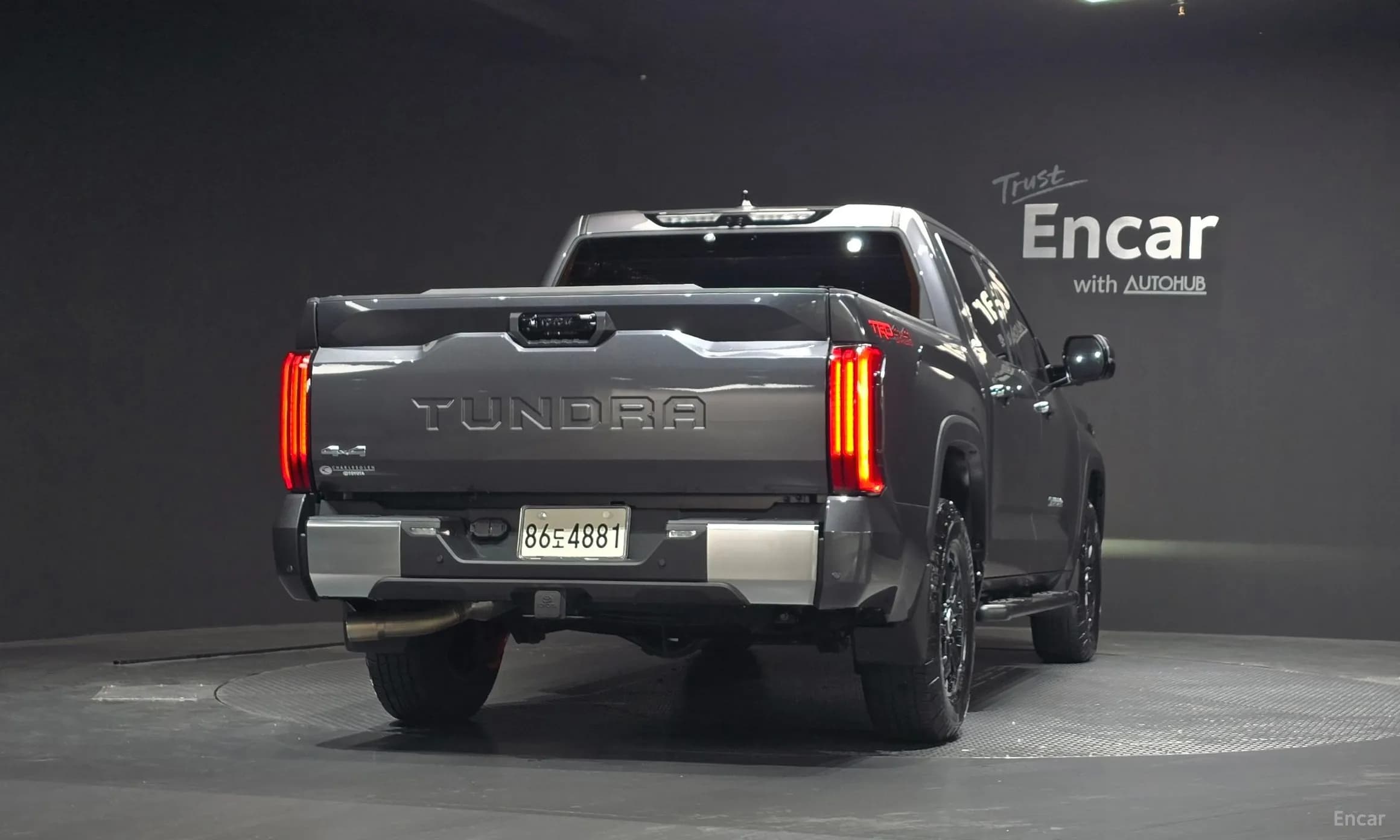 tundra