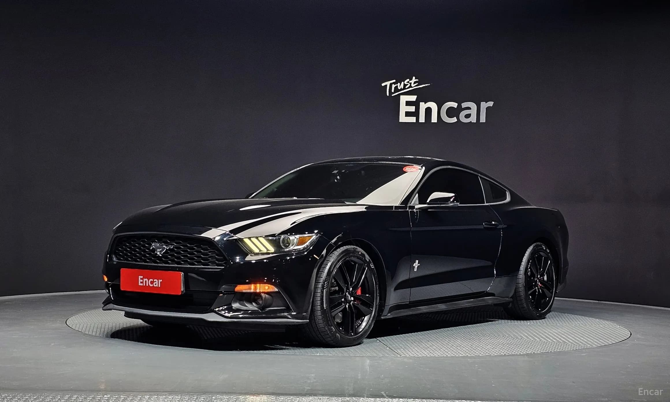 Mustang