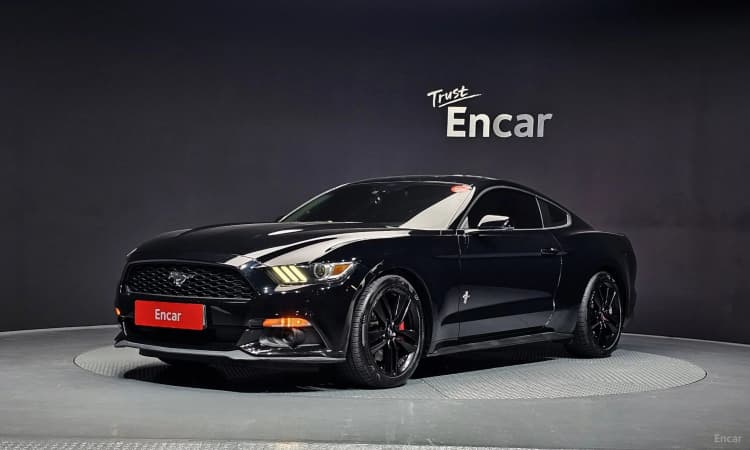 Mustang