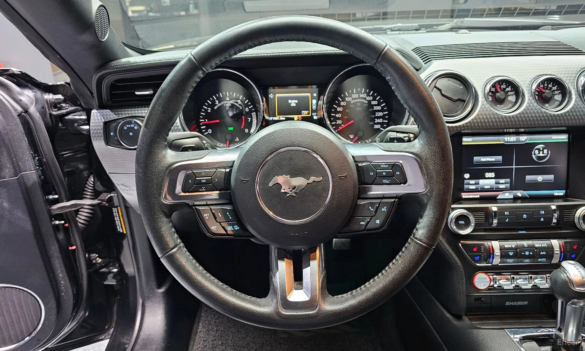 Mustang