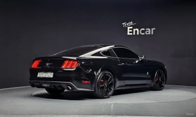 Mustang