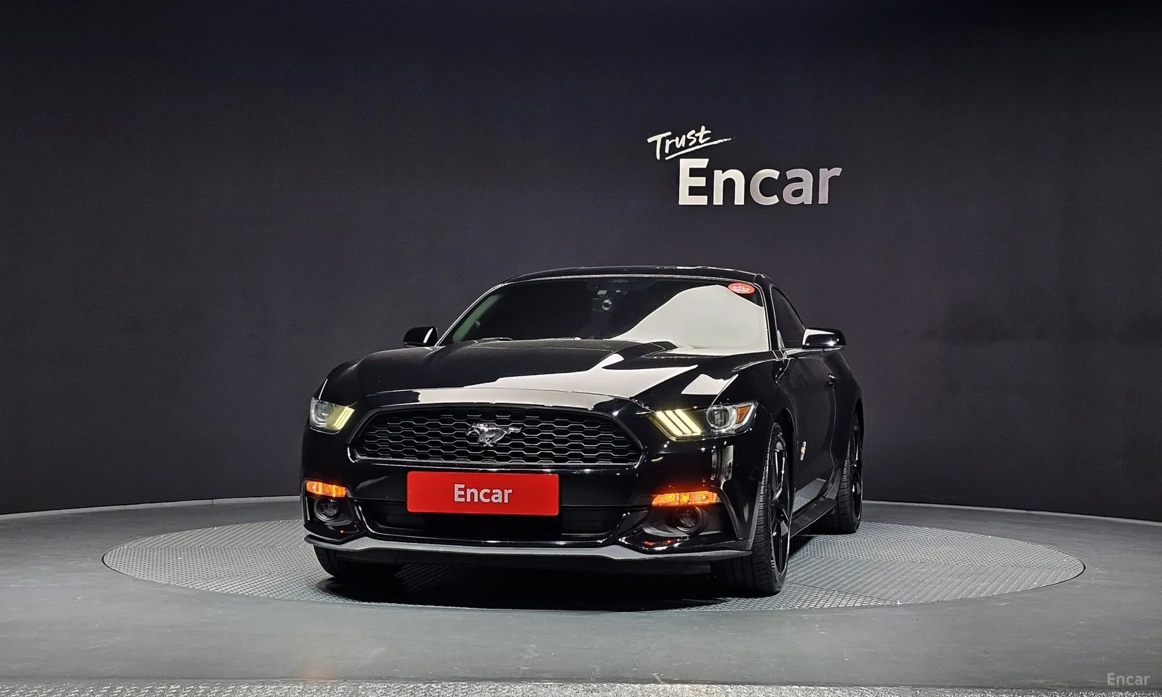 Mustang