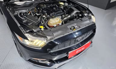 Mustang
