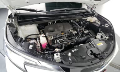 Siena 4th generation