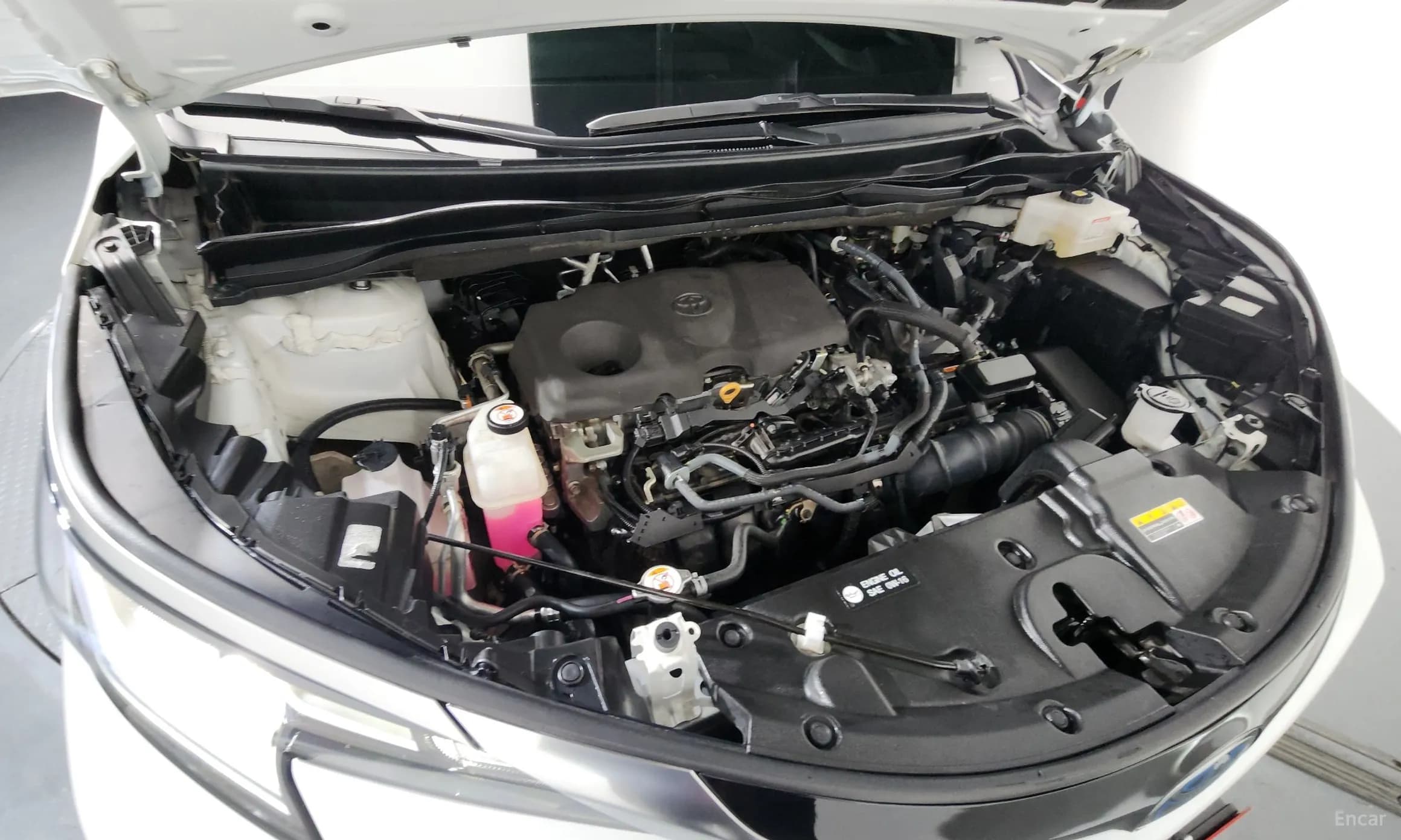 Siena 4th generation