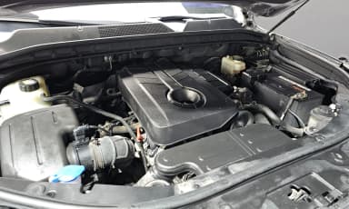 Rexton Sports