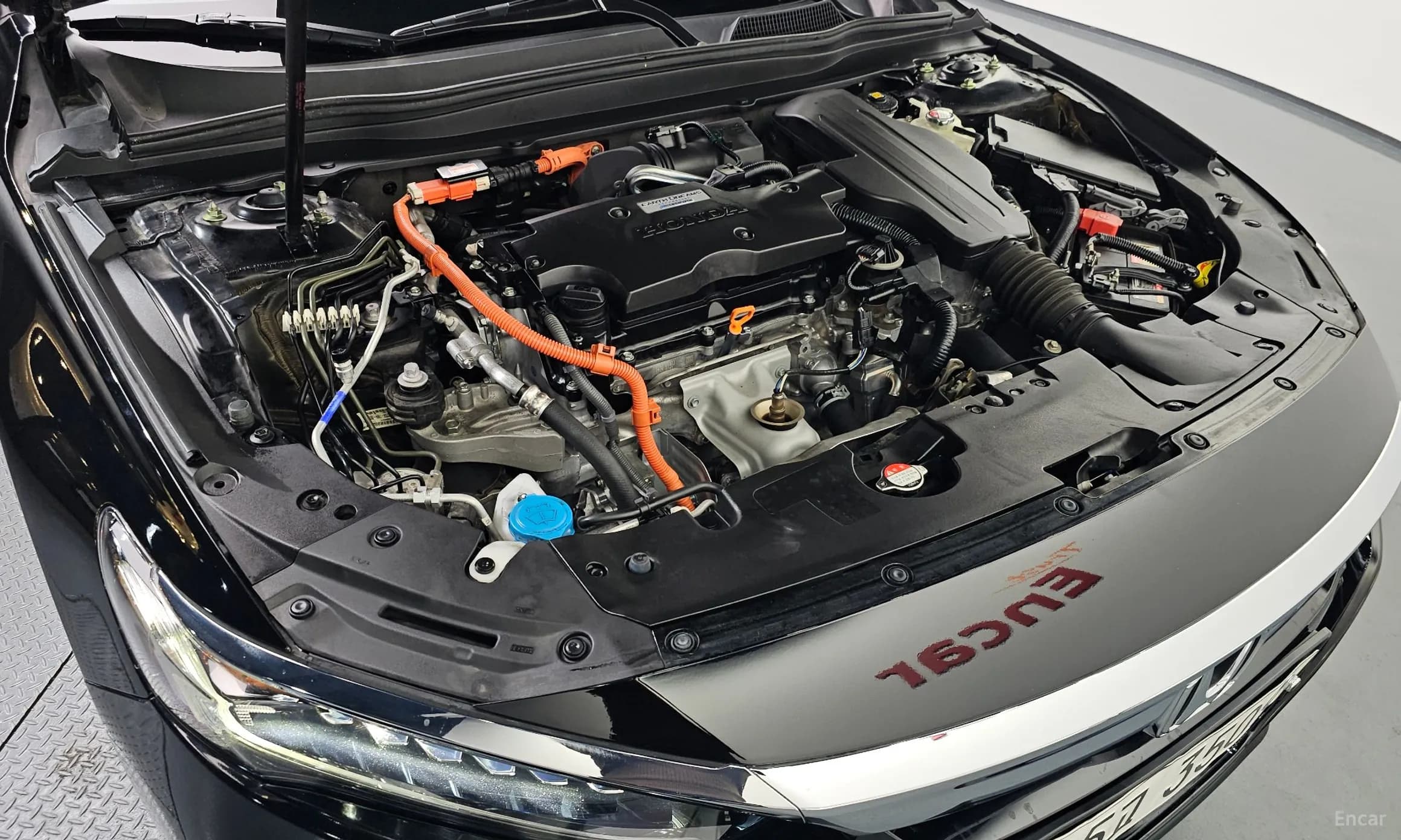 Accord 10th Generation