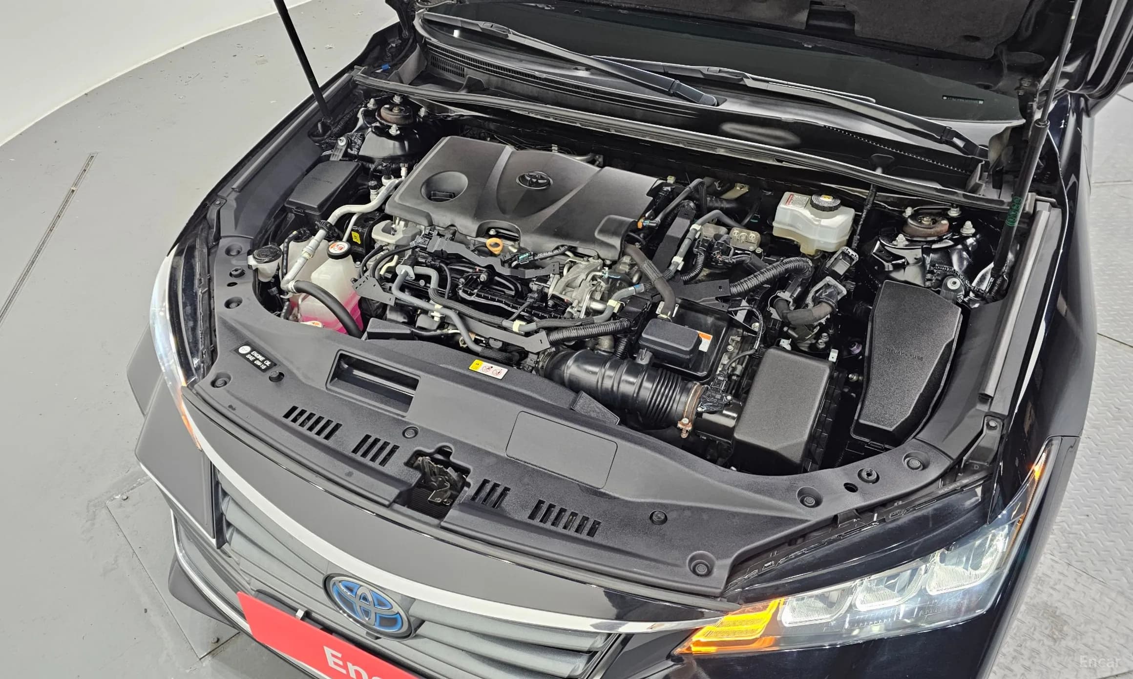 Avalon 5th Generation