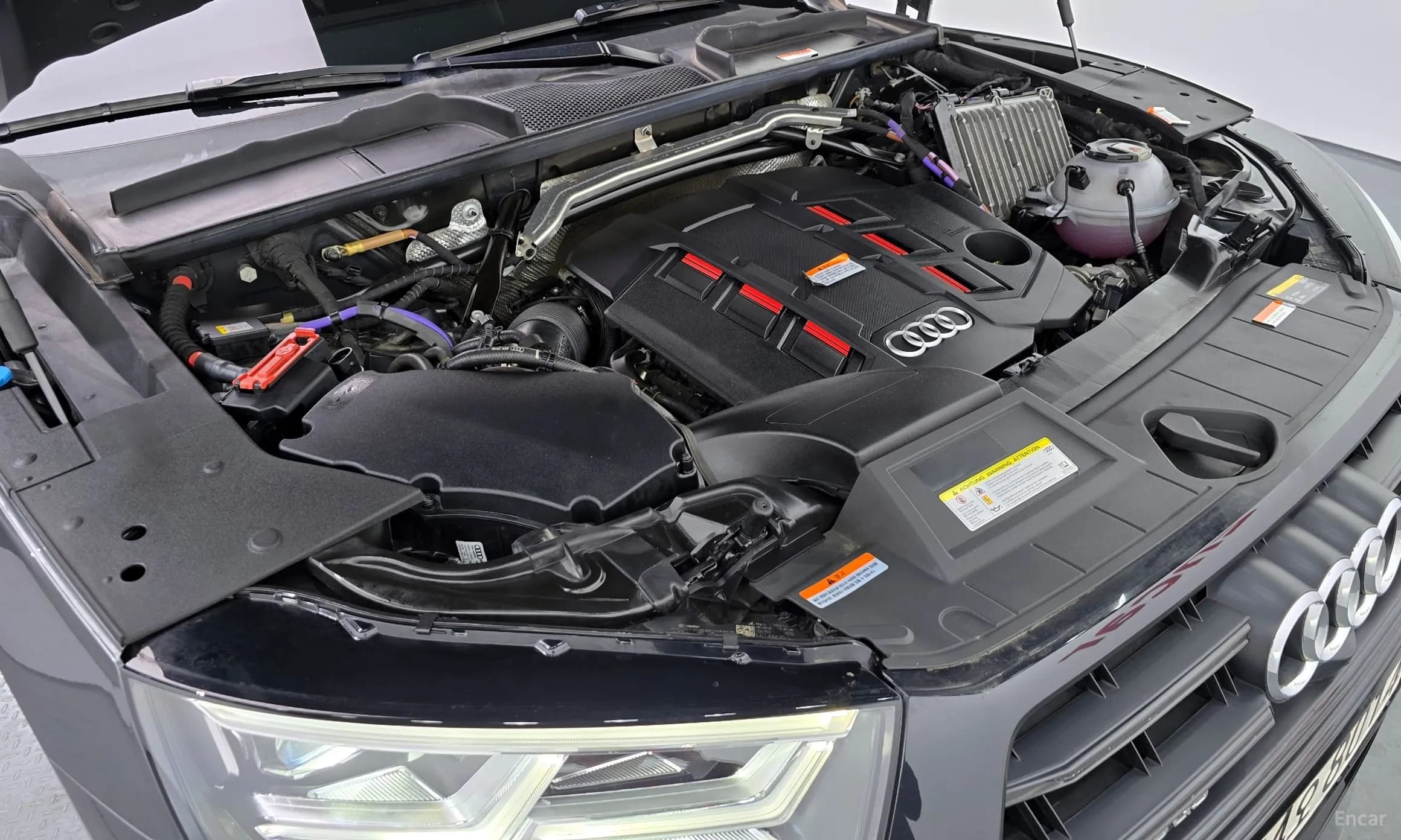 SQ5 (FY)