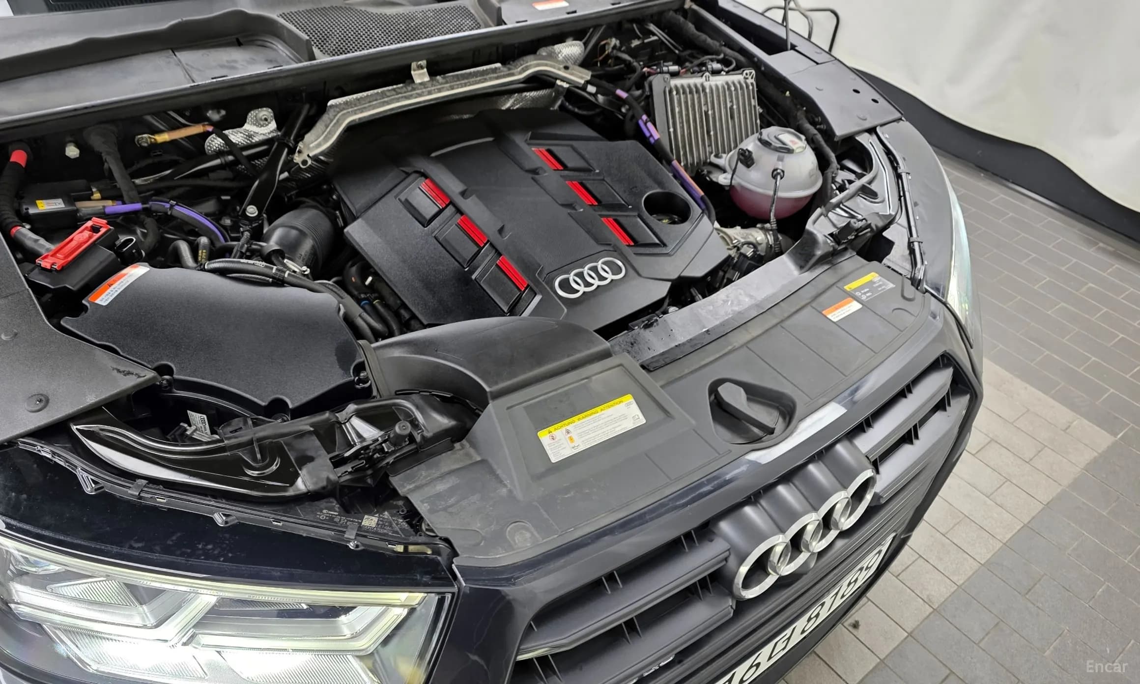SQ5 (FY)