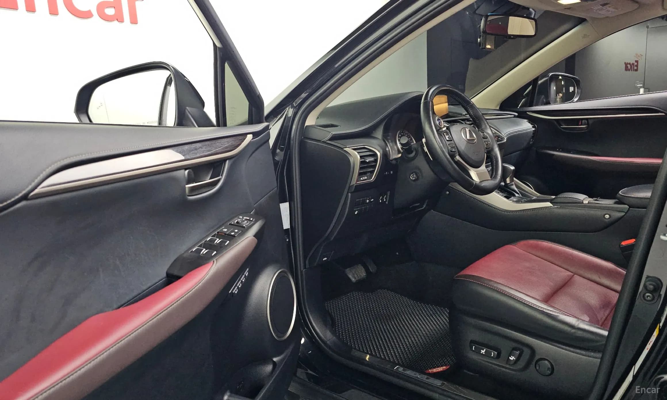 NX300h