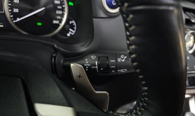 NX300h