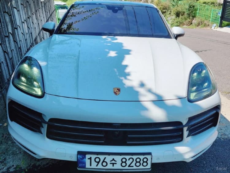 Cayenne (PO536)