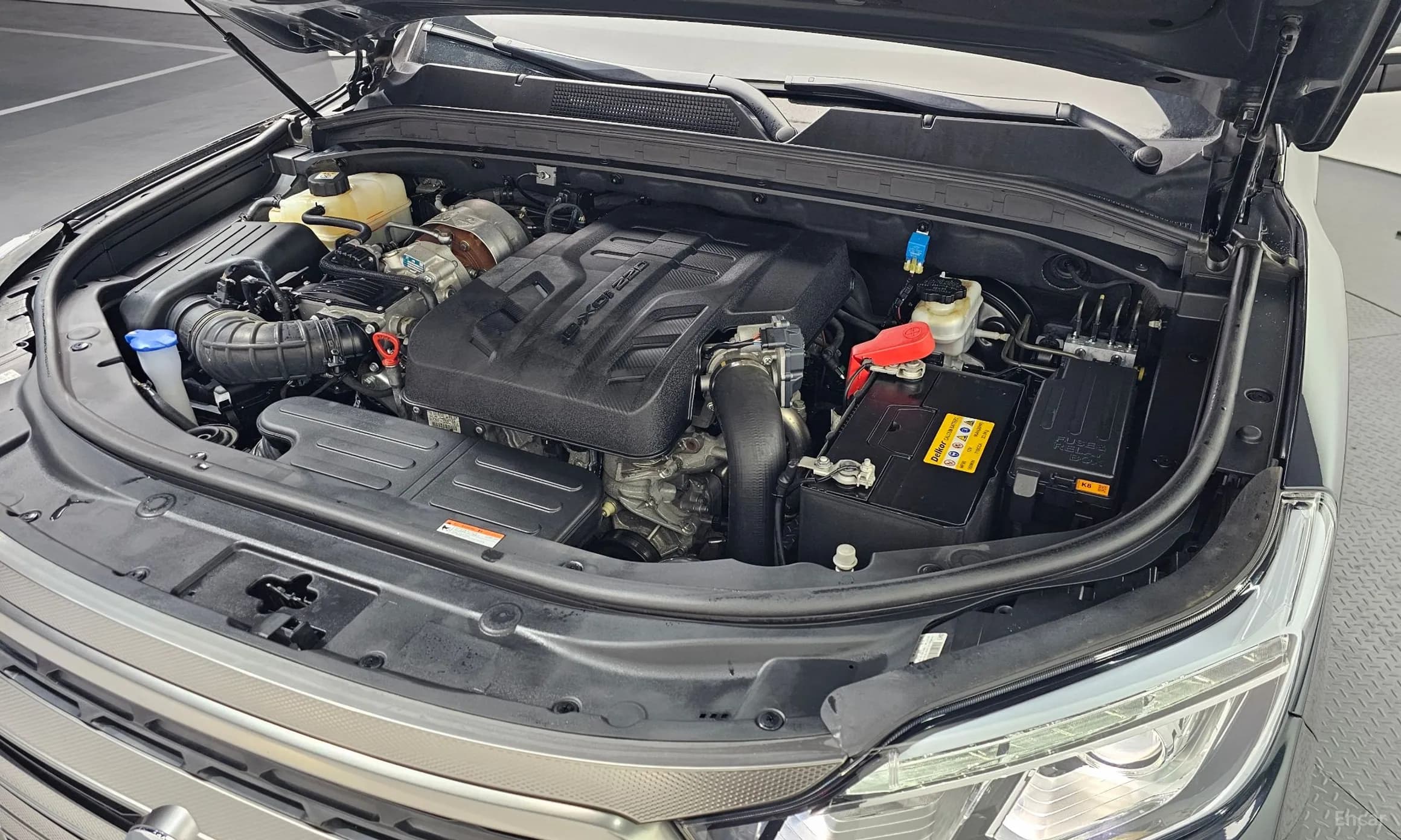 Rexton Sports