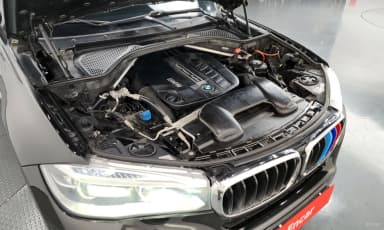 X6 (F16)