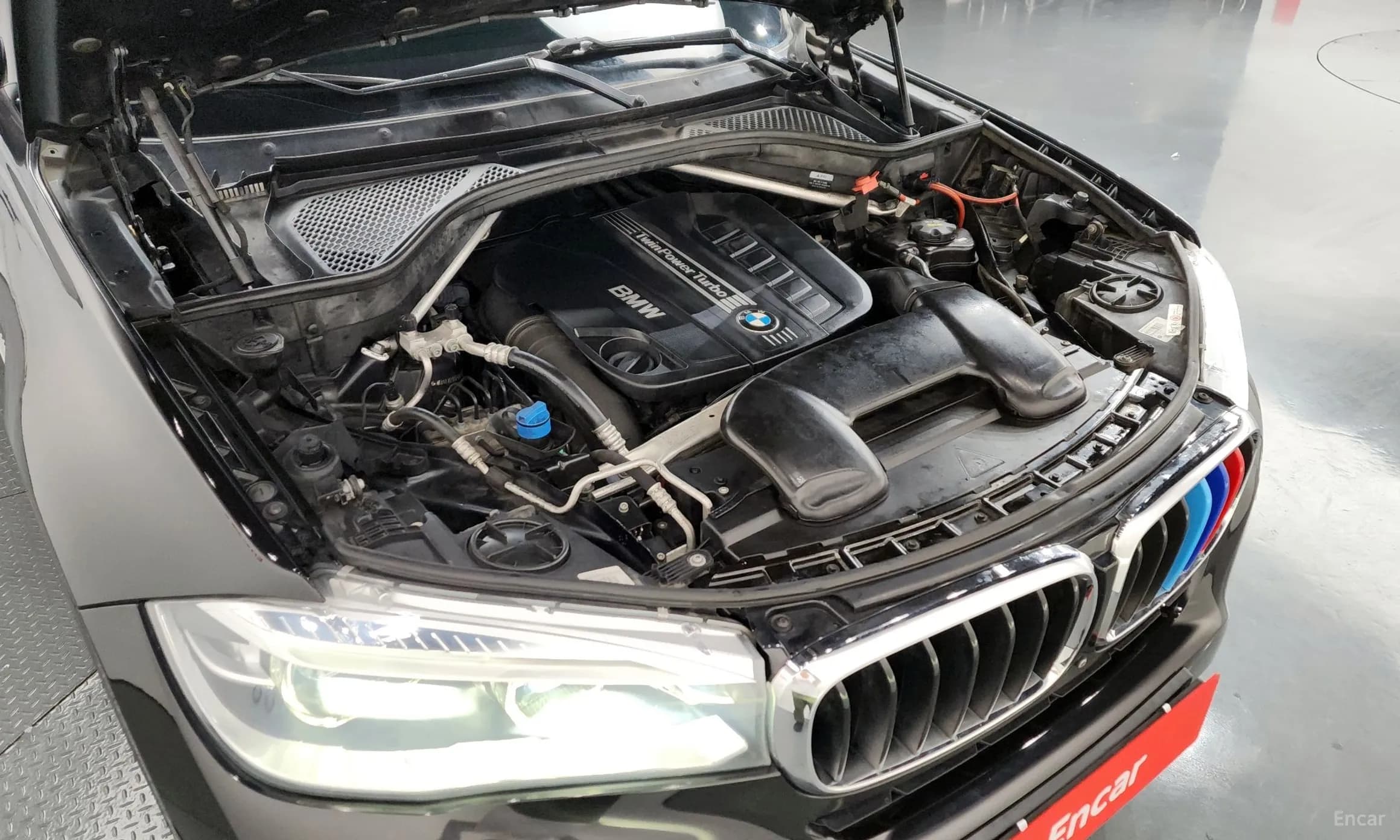 X6 (F16)