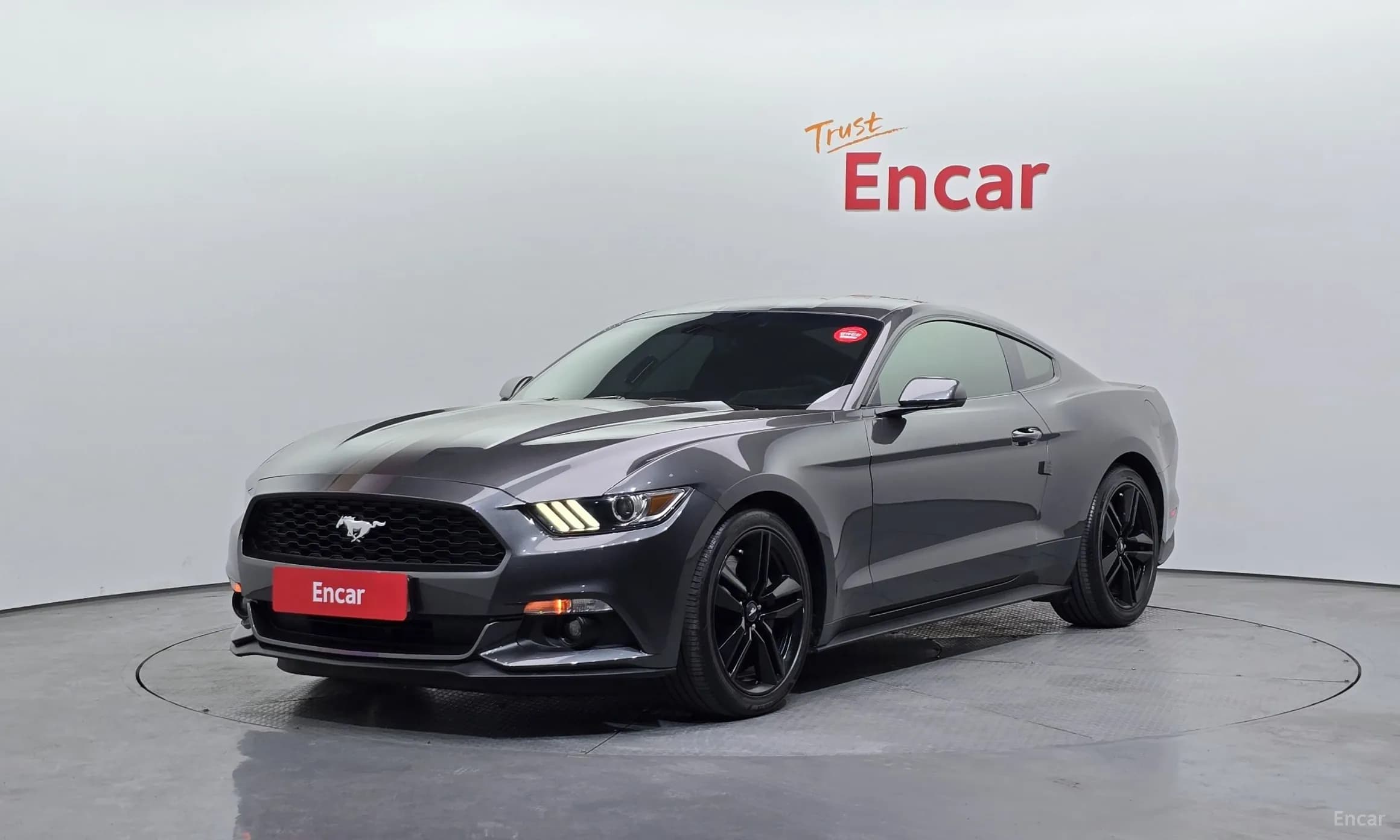 Mustang