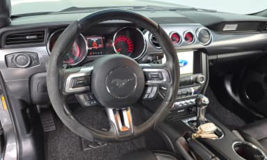 Mustang