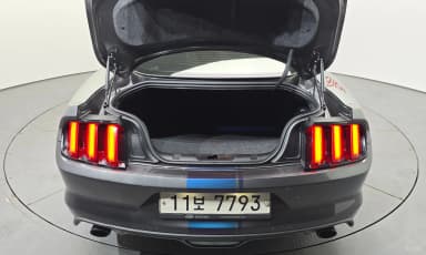 Mustang