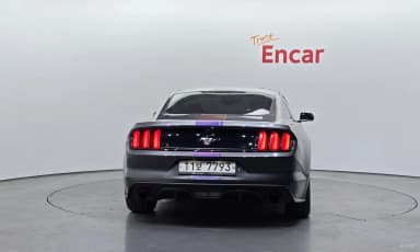 Mustang