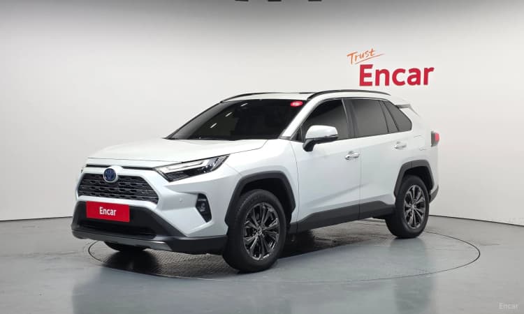 RAV4 5th Generation