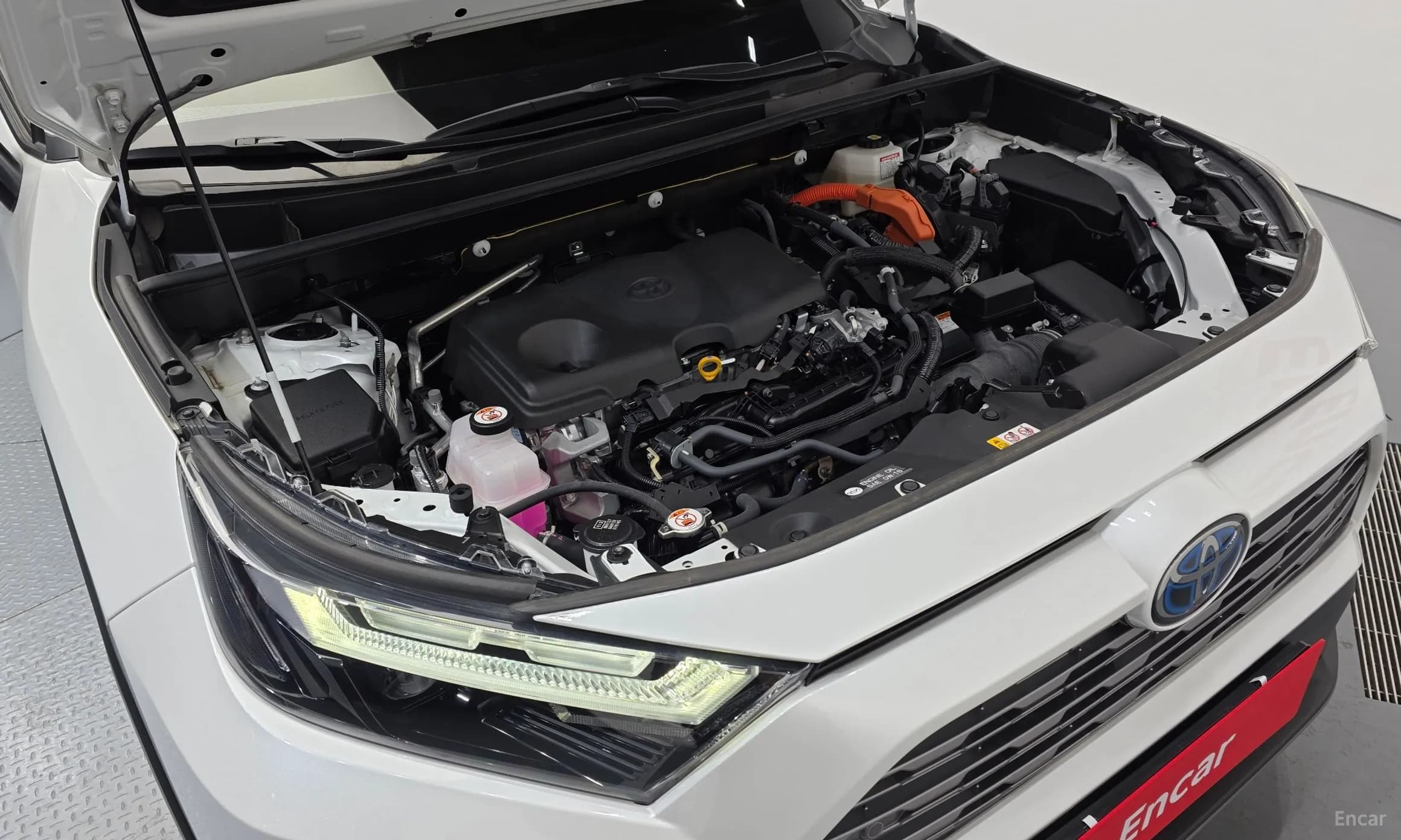 RAV4 5th Generation