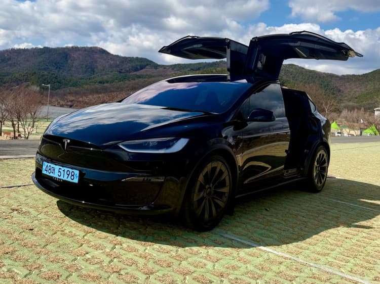 Model X