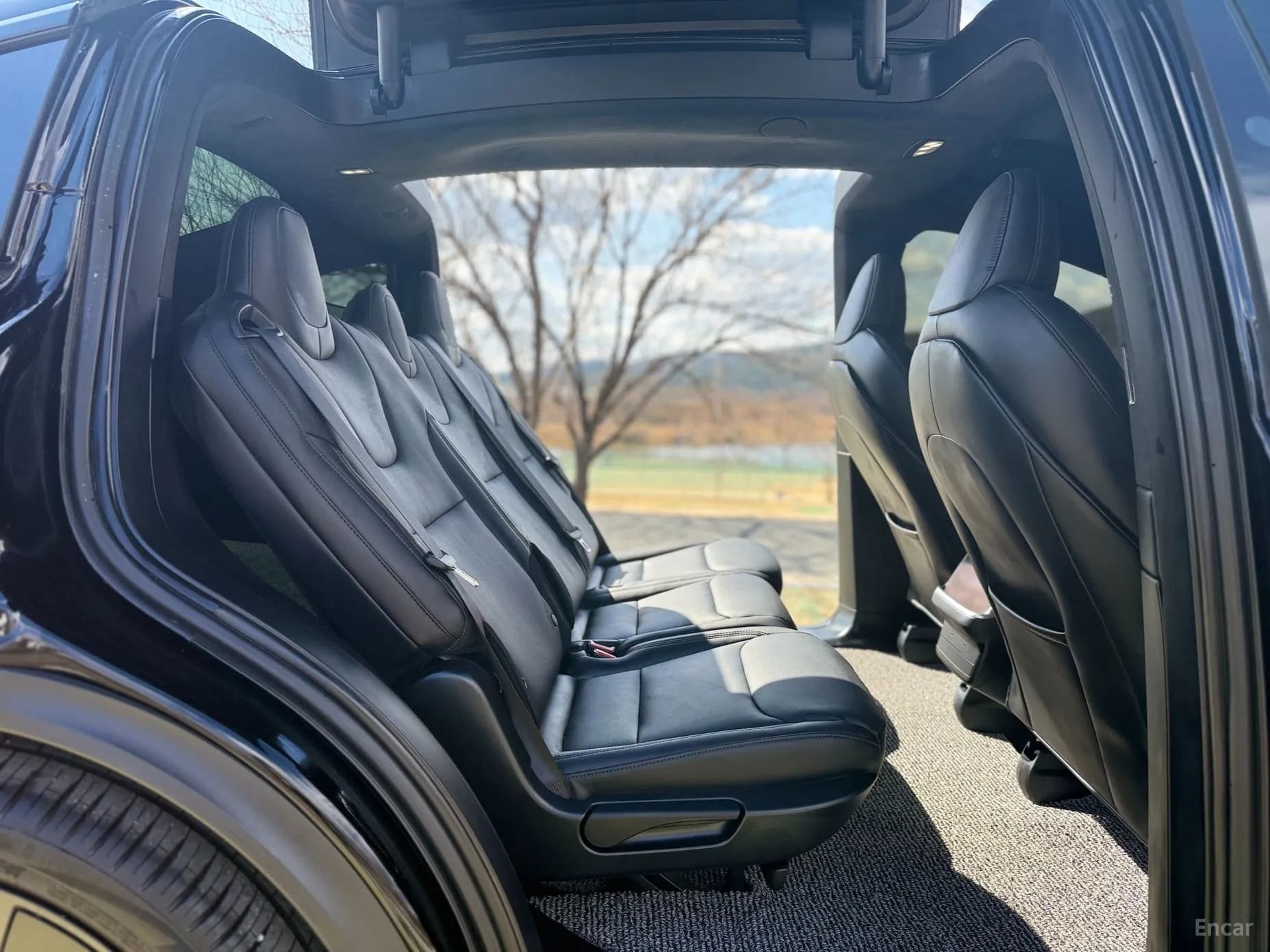 Model X