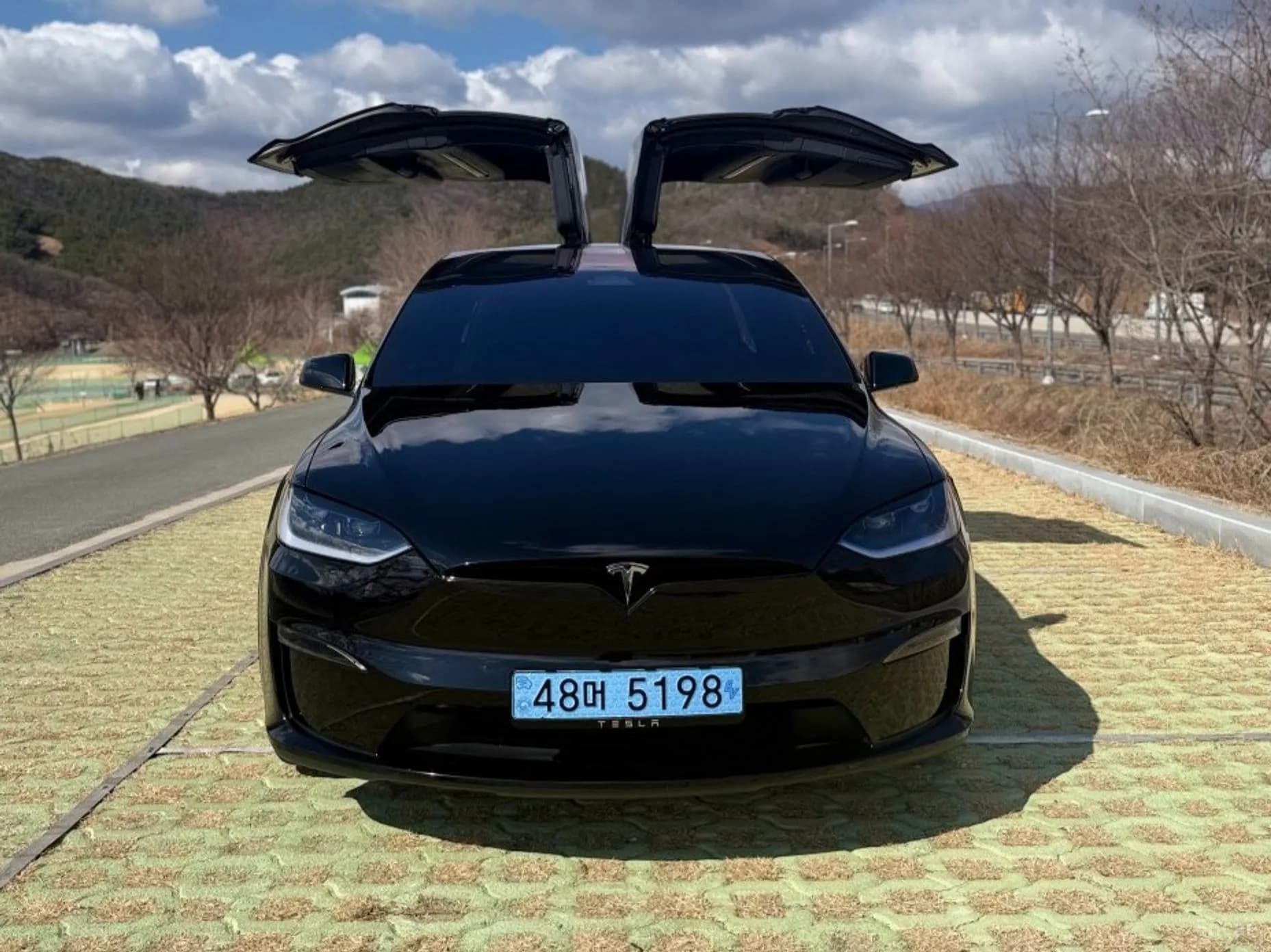Model X