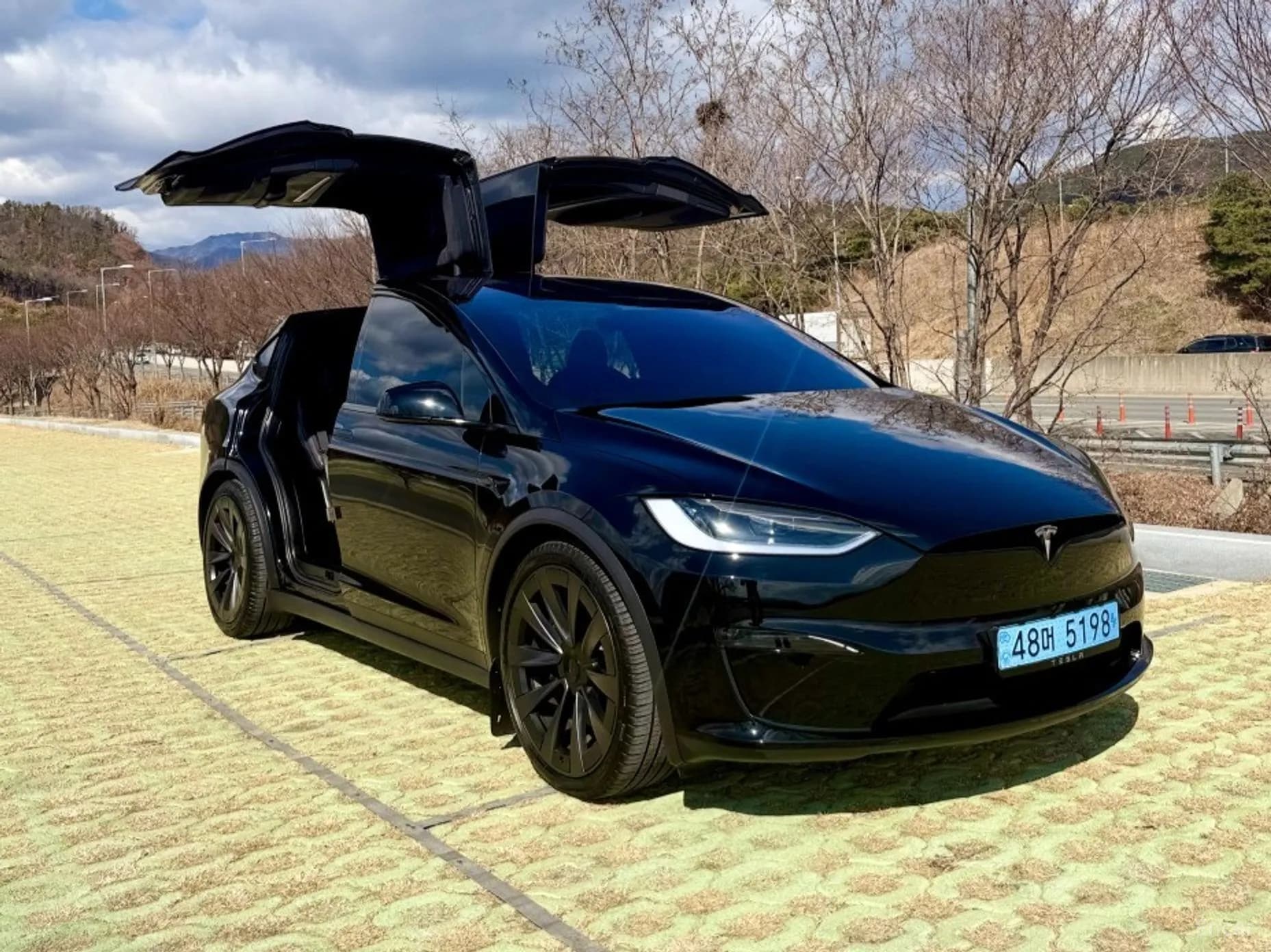 Model X