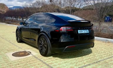 Model X