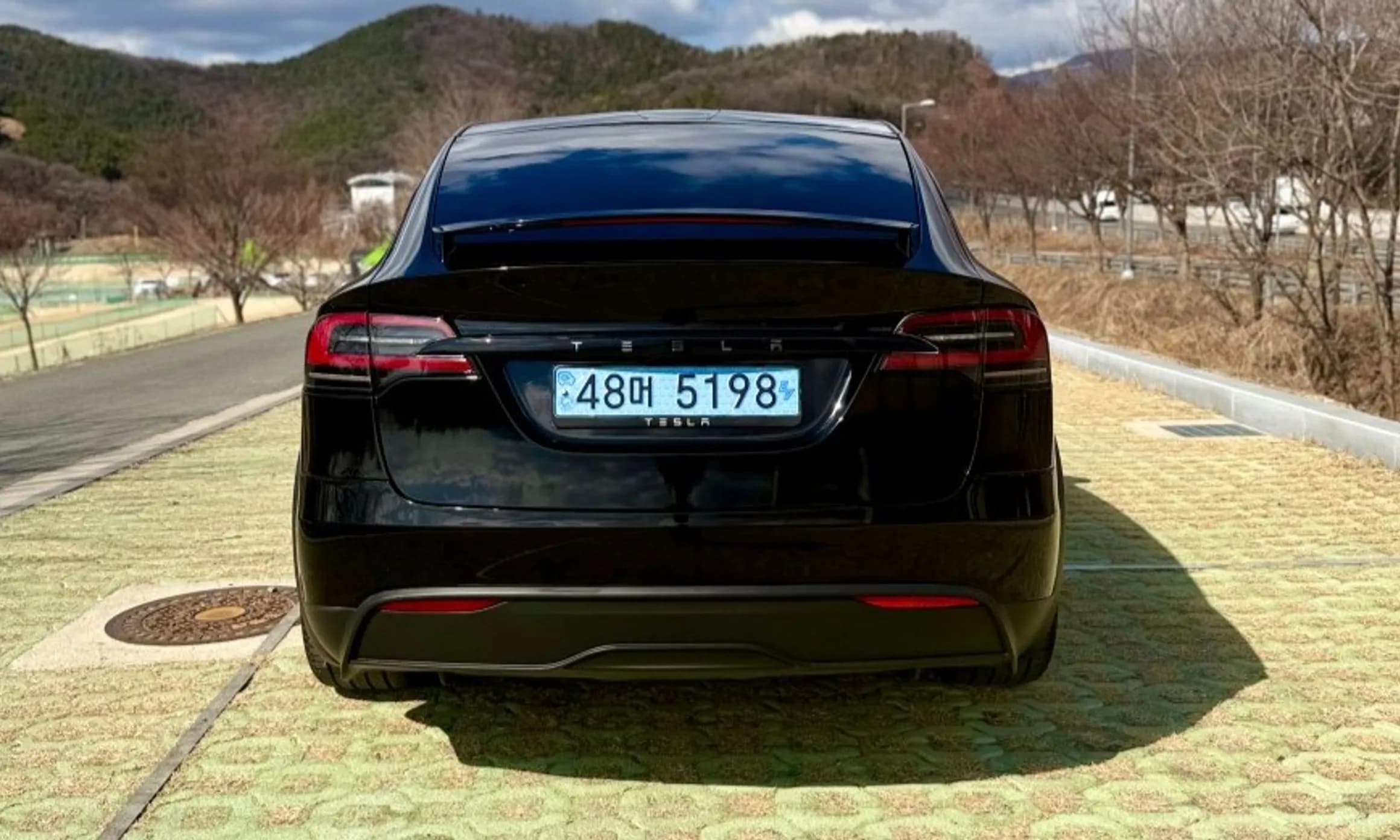 Model X
