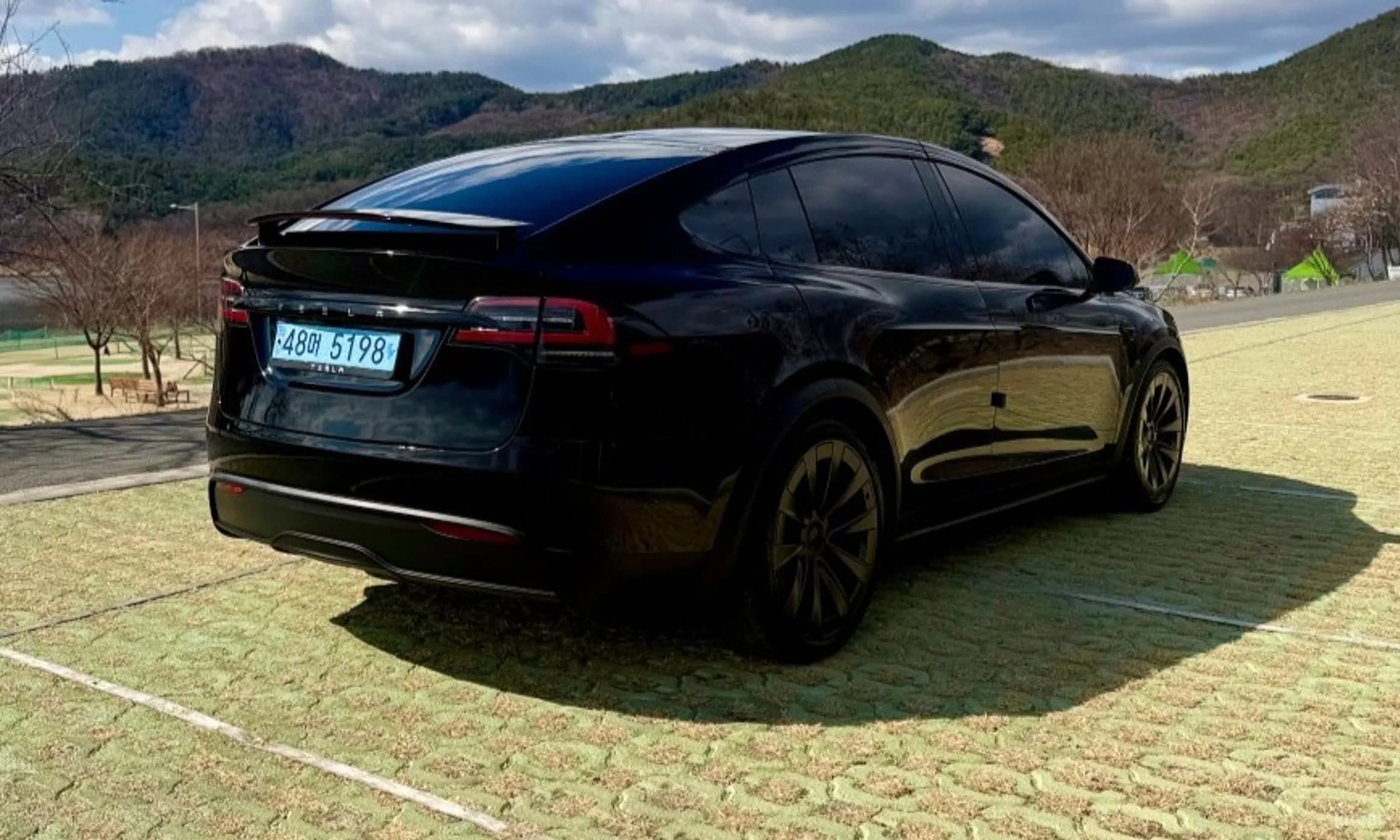Model X