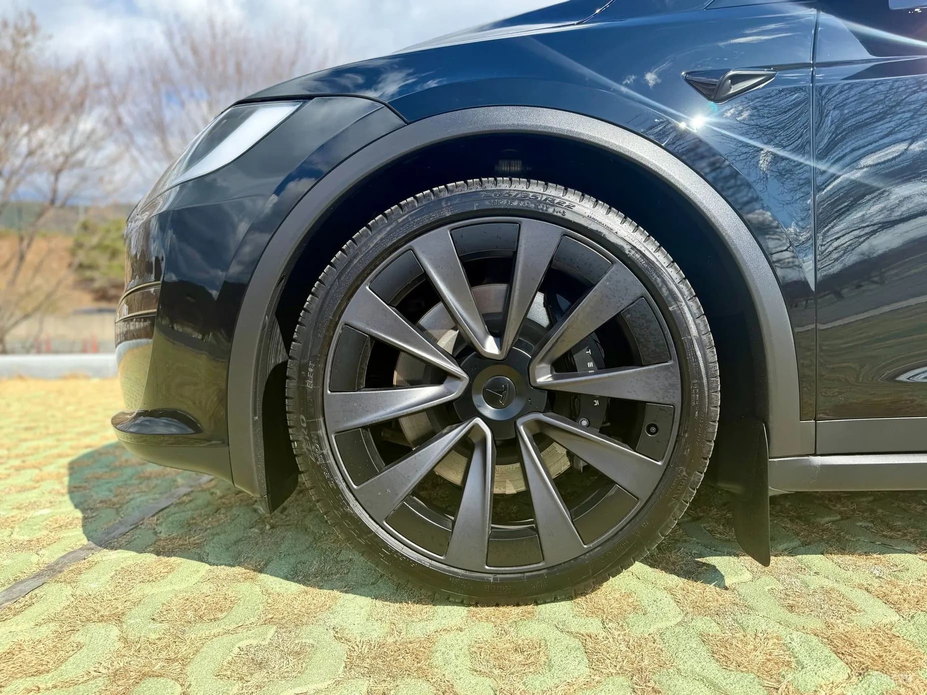 Model X